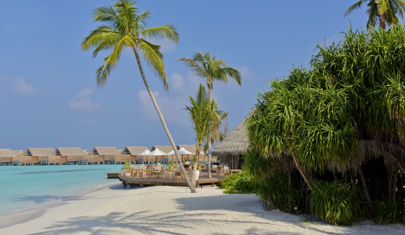 Ocean restaurant 4_6282